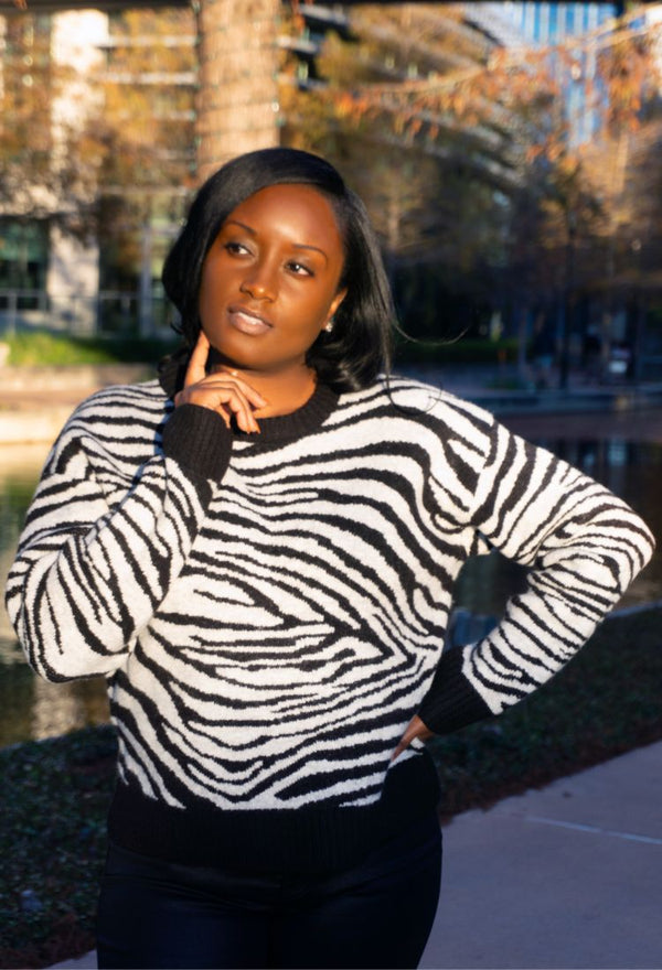 Zebra Pullover Sweater